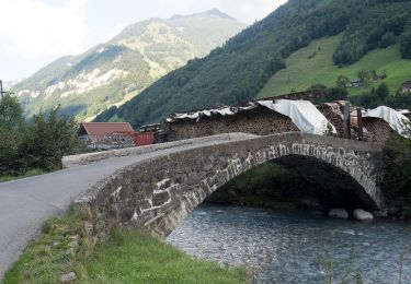 Percorso A piedi Wolfenschiessen - Diegischbalm - Nechimatt - Photo