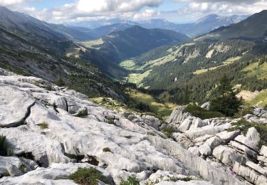 Tocht Stappen Le Grand-Bornand - Refuge Gramusset à partir de la Duche - Photo
