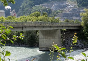 Tour Zu Fuß Trimmis - Untervaz Bahnhof - Haldenstein Station - Photo