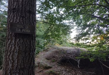 Randonnée Marche Orlu - Le roc de la péra - Photo