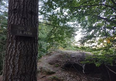 Excursión Senderismo Orlu - Le roc de la péra - Photo