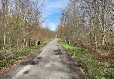 Excursión Senderismo Compiègne - en forêt de Compiègne_48_sur les Routes de la Mariolle et du Grand Veneur - Photo