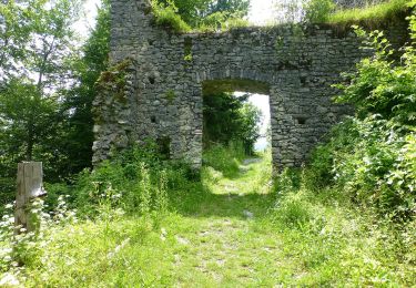 Tocht Te voet Hermagor-Pressegger See - Khünburg - Ruine Khünburg - Obervellacher Stand - Photo