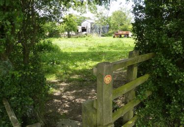 Excursión A pie North East Derbyshire - Pilsley Walk - Photo