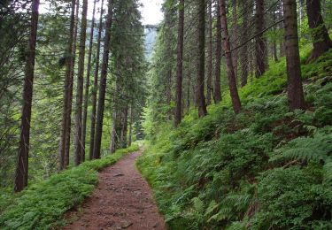 Excursión A pie Zawoja - Ścieżka edukacyjna - 