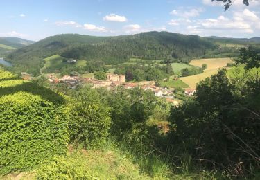 Randonnée Marche Joux - Joux (17 km - D. 625 m) - Photo