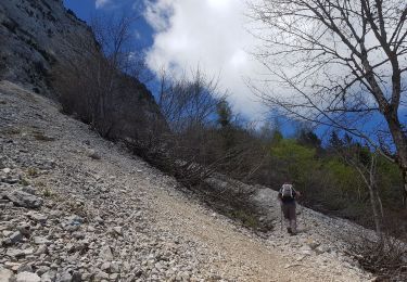 Trail Walking Saint-Nizier-du-Moucherotte - Moucherotte 30 mai 2019 - Photo