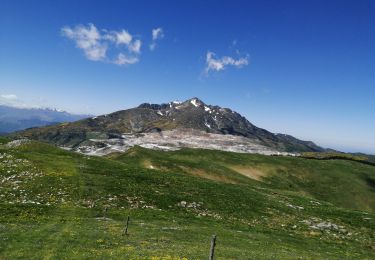 Trail Walking Prades - Pic Fourcat Prades  - Photo