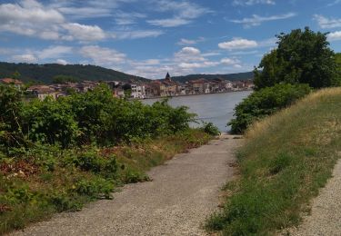 Randonnée Vélo de route Clérieux - 26 st Vallier le pouzin - Photo