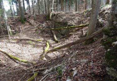 Tocht Te voet Gomadingen - Nebenweg - Salmendingen - Weg Nr. 1 - L385 - Salmendingen - HW1 - Photo