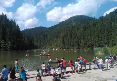 Randonnée A pied Gheorgheni - Lacul Roșu - Avenul Licaș - Photo