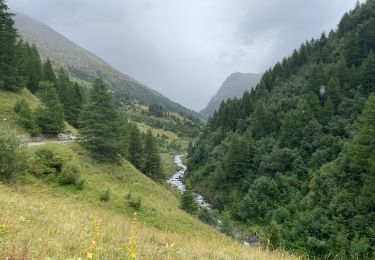 Tocht Stappen Abriès-Ristolas - Belvédère Viso - Photo