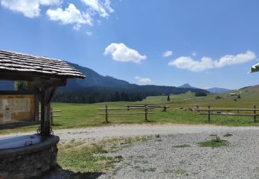 Percorso Marcia Fillière - Thorens-plateau des Glières - Photo