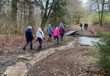 Trail Walking Sainte-Ode - Lavacherie  - Photo