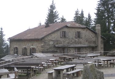 Trail On foot Partschins - Parcines - Franz-Huber-Steig - Photo