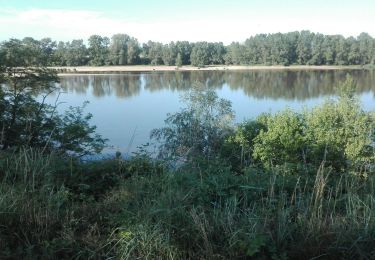 Tocht Hybride fiets Châteauneuf-sur-Loire - Belle boucle - Photo