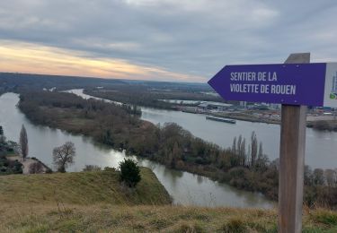 Tour Wandern Belbeuf - 20231227 Belbeuf St Adrien - Photo