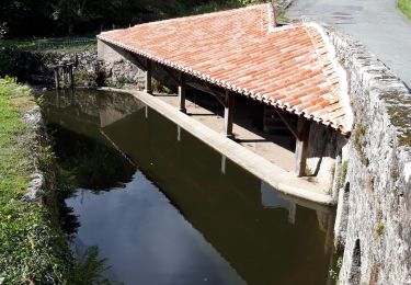 Trail Walking Treize-Vents - rando les treize cents 18km - Photo