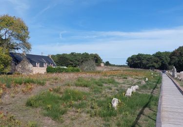 Trail Walking Carnac - PR_56_Carnac_AA_01_Les-Alignements_Circuit1b_20221009 - Photo