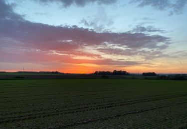 Tour Wandern Bassenge - Réserve naturelle heyoule - Photo