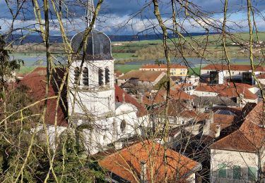 Randonnée Marche Vaucouleurs - 20230119_rando_Vaucouleurs_Chalaines_Burey-en-Vaux - Photo