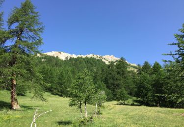 Percorso Marcia Château-Ville-Vieille - Rando au lac de soulier - Photo