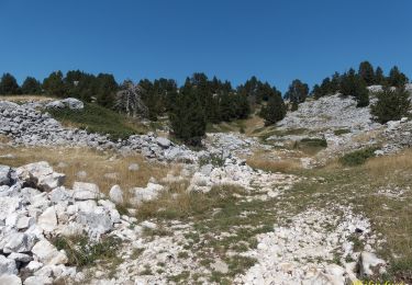 Tour Wandern Romeyer - Romeyer - Col des Bachassons - Le Pison - Le Château - Photo