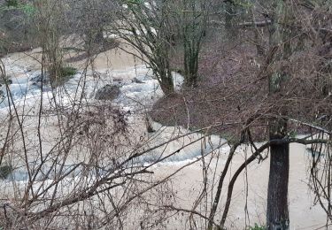Tour Wandern Marchin - petit machin ac - Photo