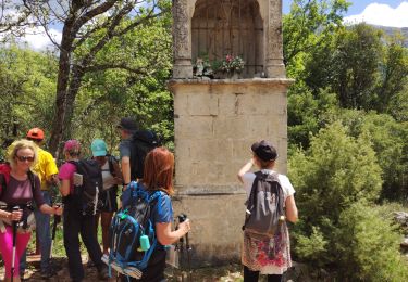 Trail Walking Plan-d'Aups-Sainte-Baume - L'huveaune - Photo