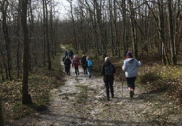 Trail Walking Coincy - Coincy la Hottée du 09-03-2024 - Photo