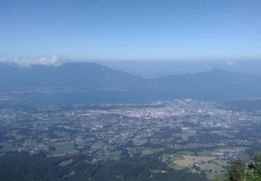 Tour Rennrad Saint-Alban-Leysse - le Revard en boucle - Photo