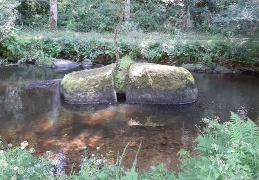 Tour Wandern Saint-Julien - clos du gouet - Photo