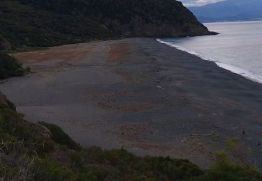 Excursión Senderismo Nonza - Nonza  - Photo