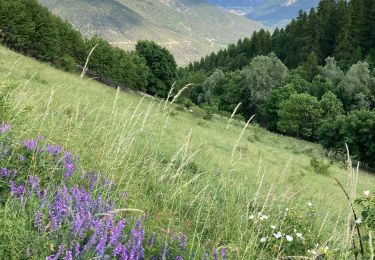 Tour Wandern Vallouise-Pelvoux - Puy aillaud  - Photo