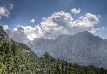 Trail On foot Tre Ville - Sentiero 