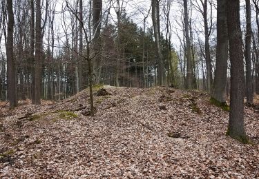 Tocht Te voet Kelkheim - Rund um den Rettershof: Weg 2 - Photo