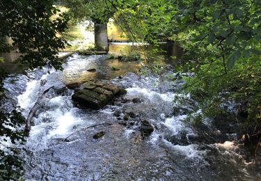 Trail Walking Huy - Malhavez - Sart - Vieux-Barse - Photo