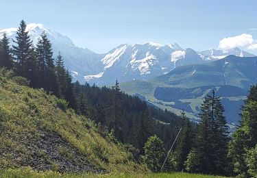 Trail Walking Megève - croisse baulet 1090m 17kms  - Photo