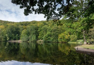 Tour Zu Fuß  - Kopparhattsrundan - Photo