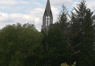 Tour Wandern Ferrières - burnontige  - Photo