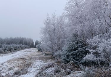 Randonnée Marche Theux - dans le givre de Crambon  - Photo