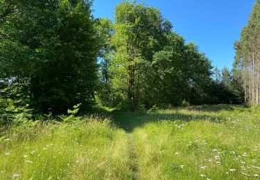 Tour Wandern Pontenx-les-Forges - PONTENX REALISÉ - Photo