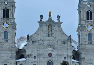 Randonnée A pied Einsiedeln - Lehpfad Klosterwald - Photo