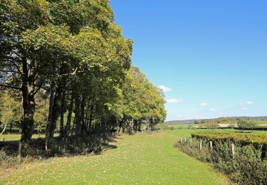 Tour Zu Fuß Dancourt - Circuit de la Rieuse - Photo