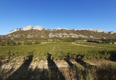 Tocht Stappen Eyguières - Tour du Mont Menu - Photo