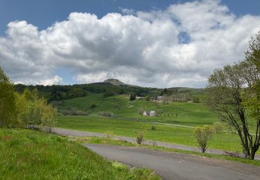 Trail Walking Besse-et-Saint-Anastaise - Tour du Lac Pavin - Photo