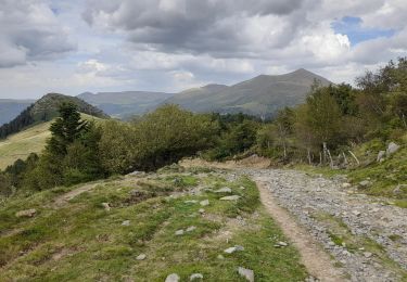 Excursión Senderismo Mont-Dore - Le Capucin - Photo