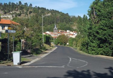 Randonnée A pied Chanonat - Le Puy de Jussat - Photo