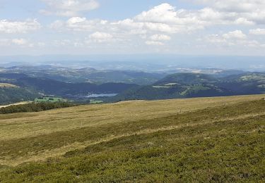 Tour Wandern Mont-Dore - vallée de Chaudefour depart col de la croix saint robert - Photo