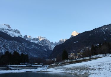 Percorso A piedi Molveno - Senter de la Mars - Photo